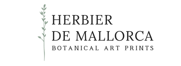 HERBIER DE MALLORCA